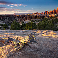 Needles district of the Canyonlands is a veritable maze of striated sandstone towers, pinnacles, canyons and meadows.