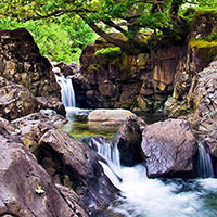 I can't count the number of times my family has walked by, lounged around, and spent time watching this waterfall.