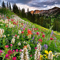 Gap light illuminates Devil\'s Castle in the Wasatch mountains.