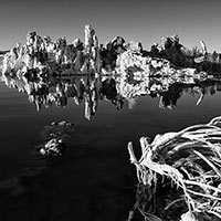 The iconic towers of Mono Lake in evening light.