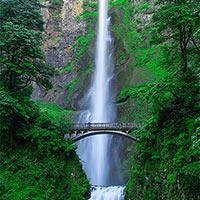 The Columbia River Gorge is one of the most spectacular gorges I\'ve had the chance to check out. The options for waterfalls is endless.