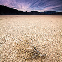 An unforgiving landscape Death Valley shows beauty even as things have passed from living.