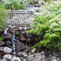 Along one of the numerous footpaths in the Lake District area.