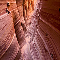 Southern Utah at it\'s finest. Zebra Slot Canyon is a bit of a hike and a no joke shimmy to get into.